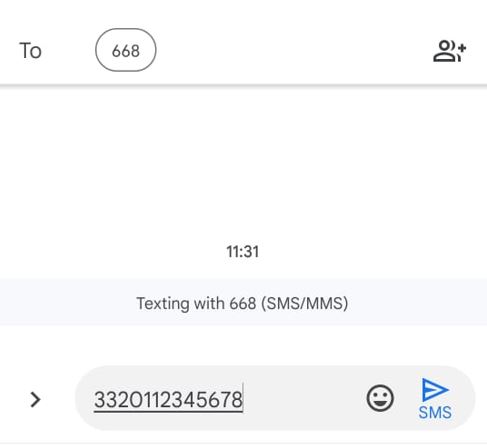 How to check sim info with sms