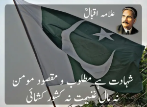 Iqbal poetry for Pakistan 