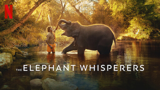The Elephant Whisperers won oscar award